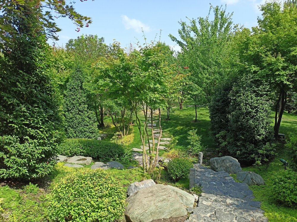 IMG20250719145218.jpg