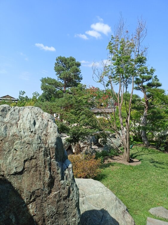 IMG20250719145701.jpg
