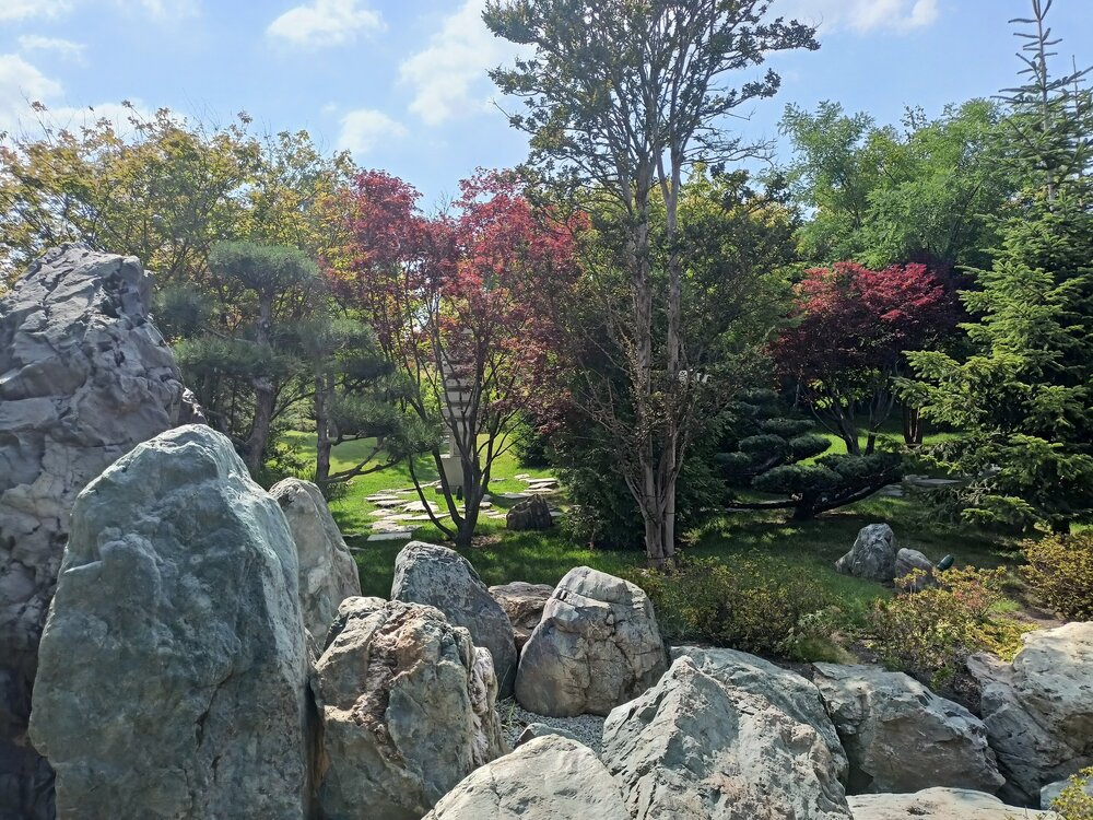 IMG20250719145724.jpg