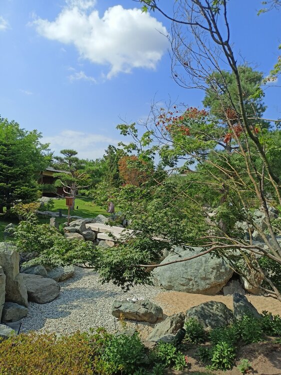 IMG20250719145729.jpg