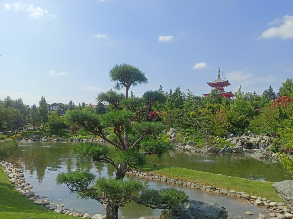 IMG20250719150224.jpg