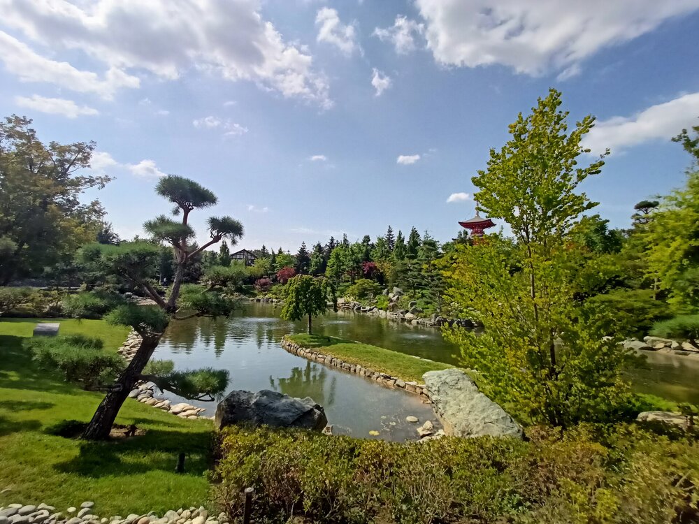 IMG20250719150240.jpg