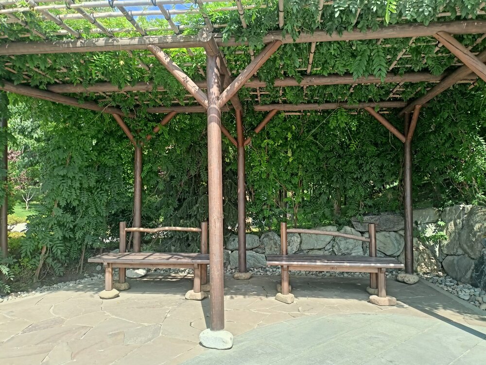 IMG20250719150254.jpg