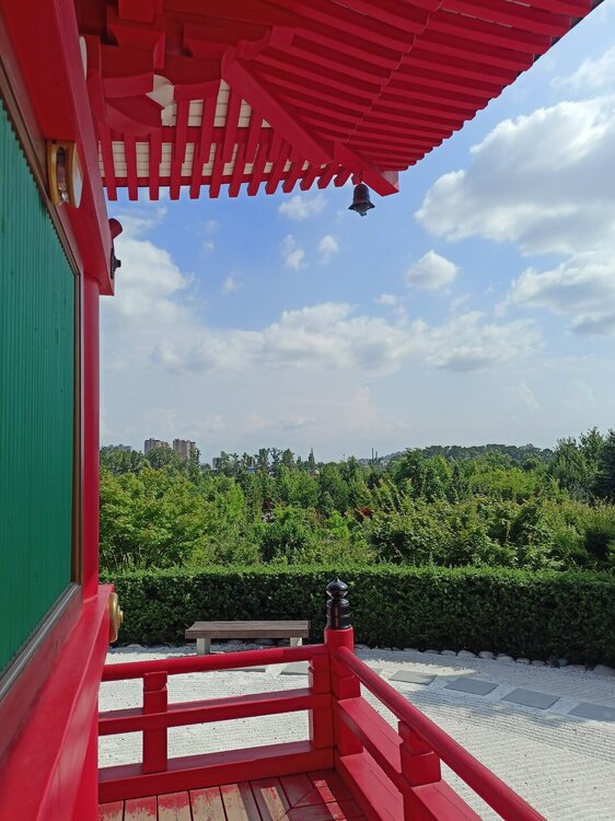 IMG20250719151901.jpg
