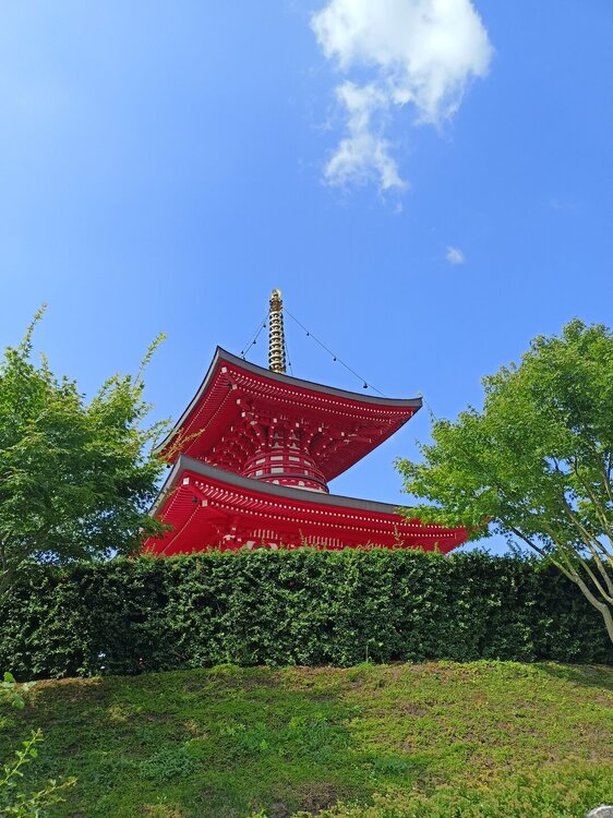 IMG20250719152036.jpg