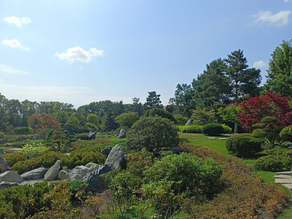 IMG20250719152146.jpg