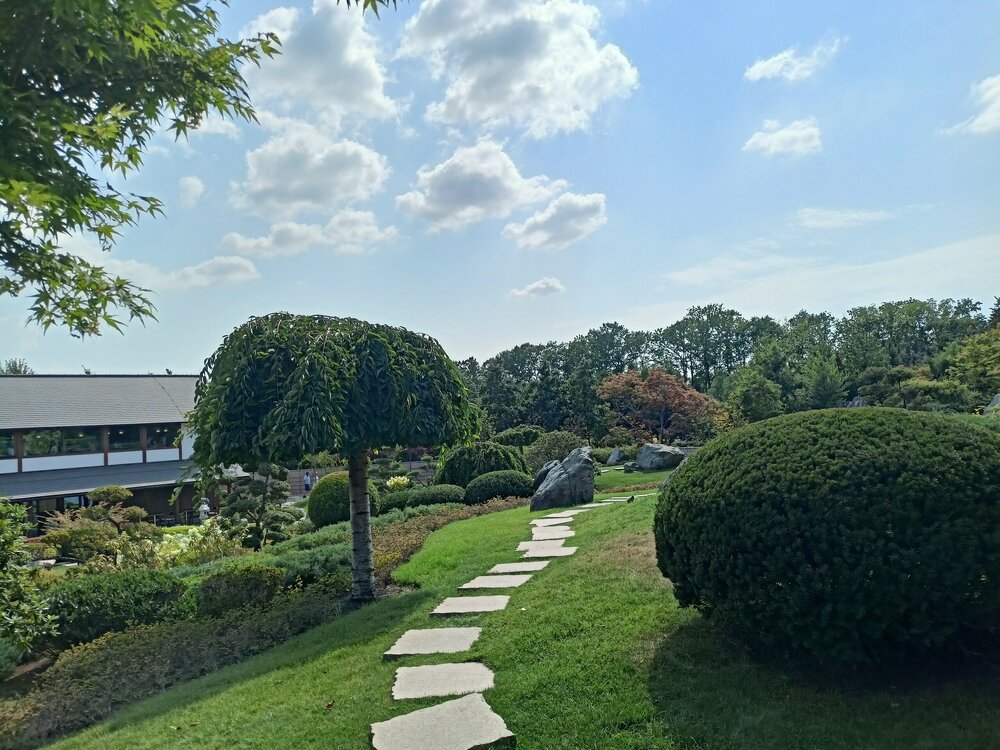 IMG20250719152226.jpg