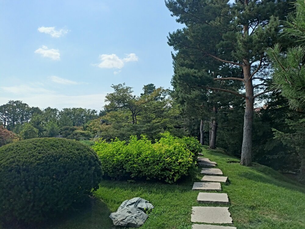IMG20250719152228.jpg