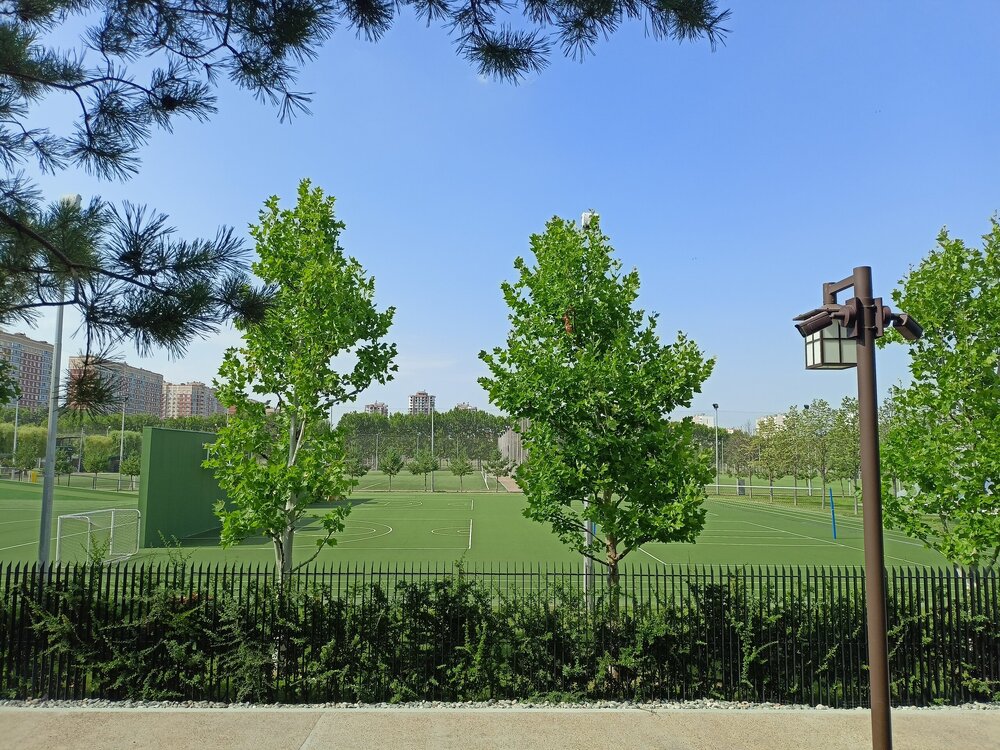 IMG20250719152344.jpg