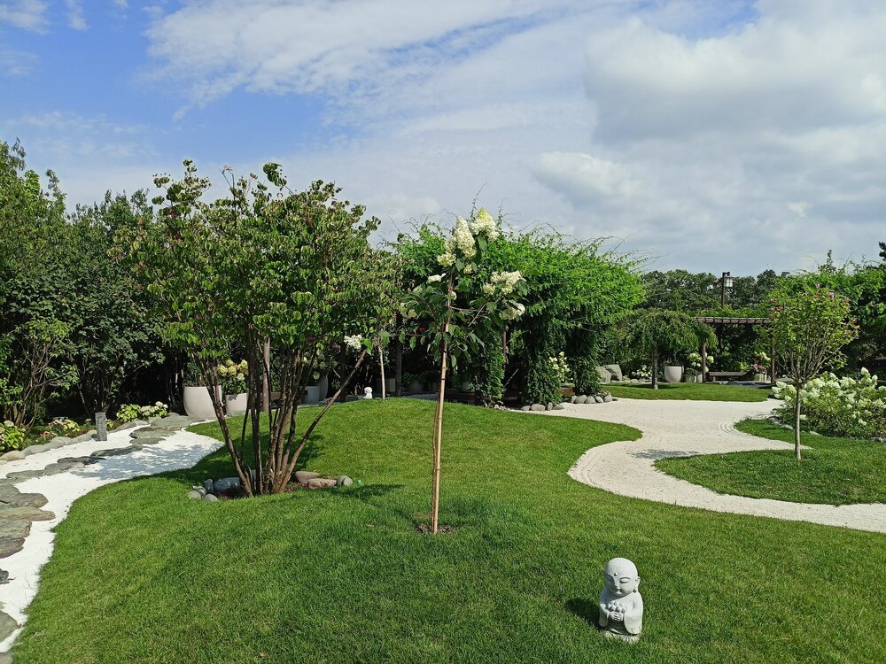 IMG20250719152831.jpg
