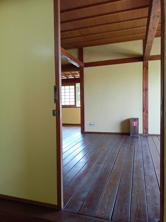 IMG20250719153327.jpg