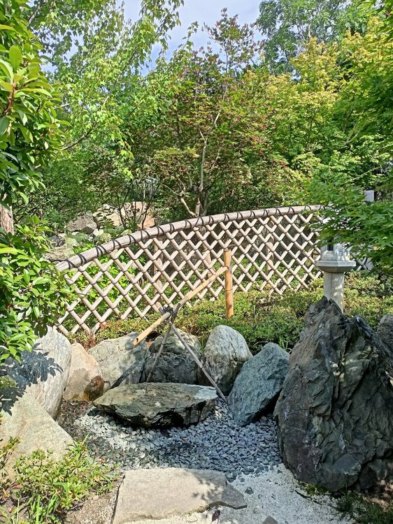 IMG20250719153746.jpg