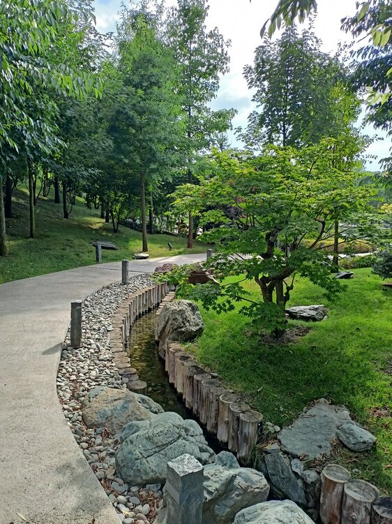 IMG20250719161702.jpg