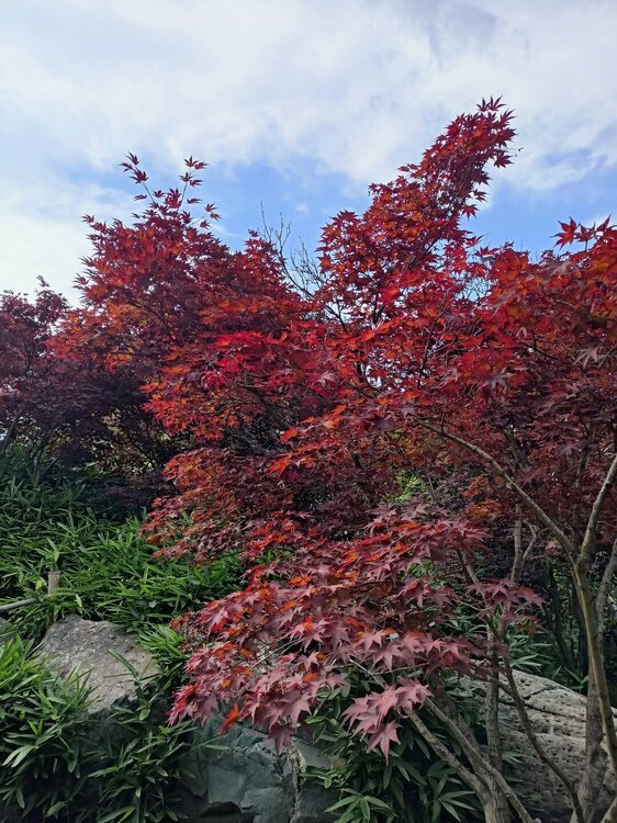 IMG20250719162434.jpg