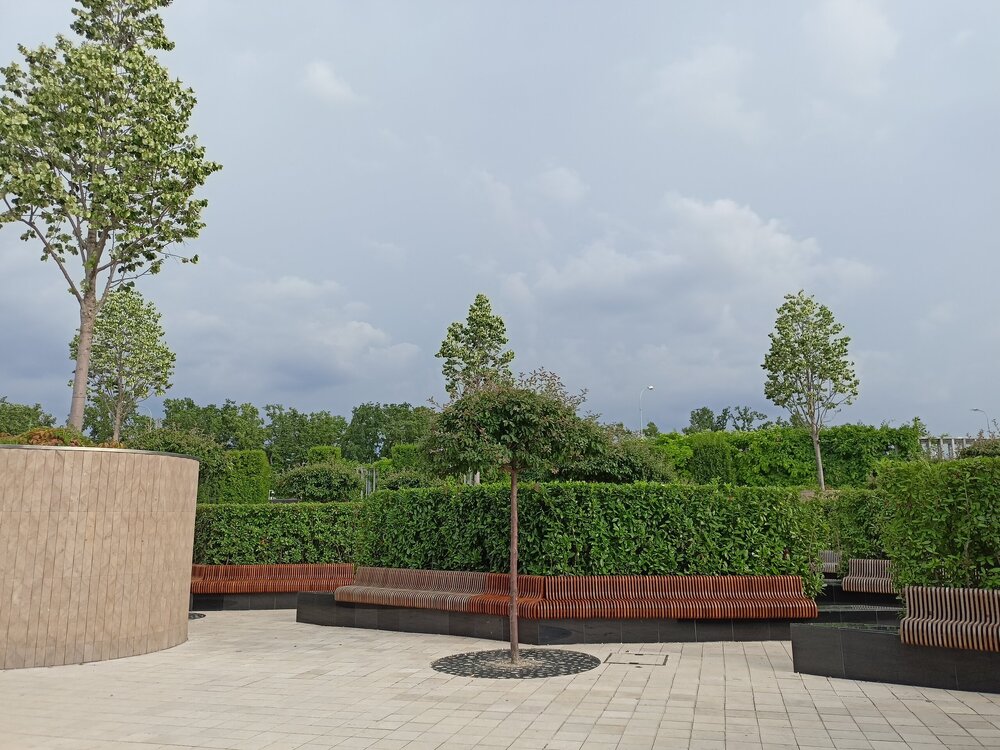 IMG20250719162542.jpg