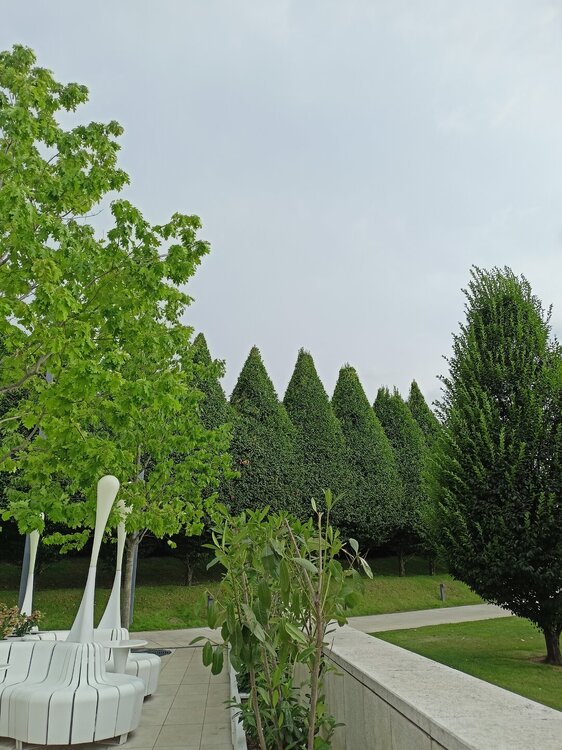 IMG20250719163806.jpg