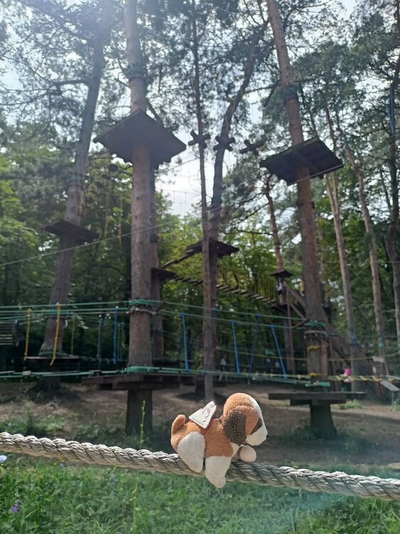 IMG20250721111700.jpg