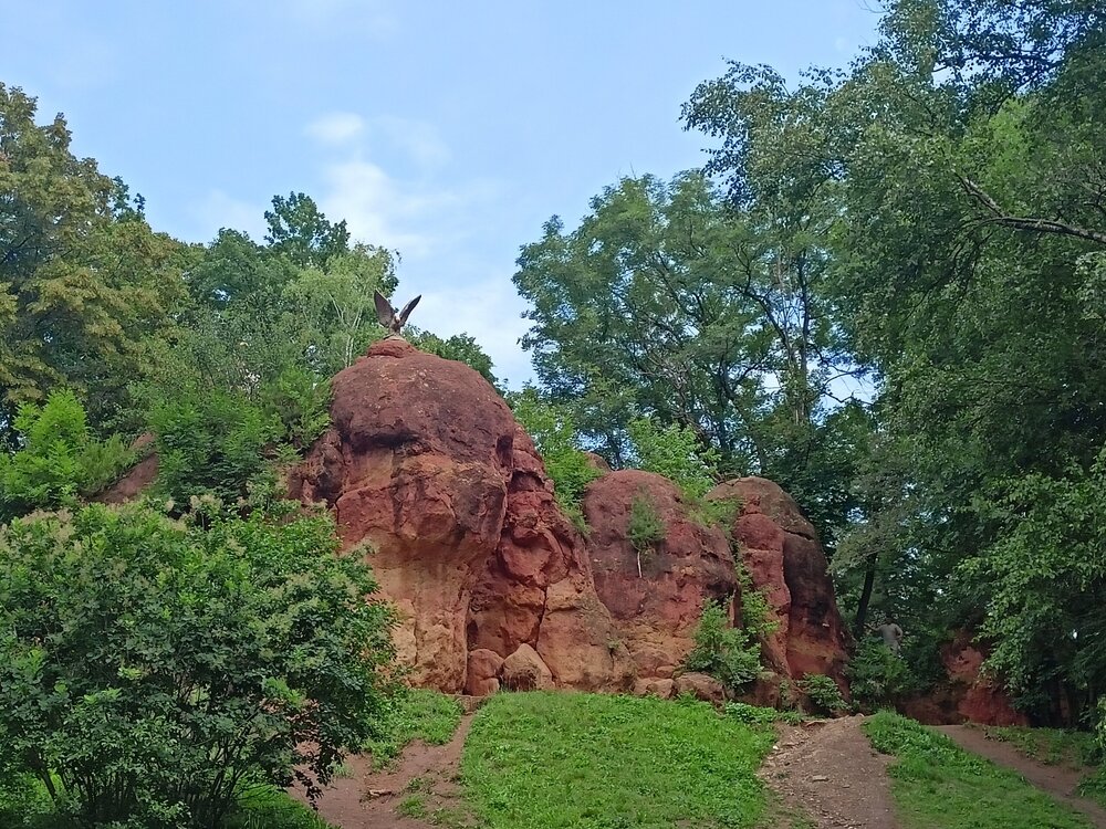 IMG20250721111945.jpg