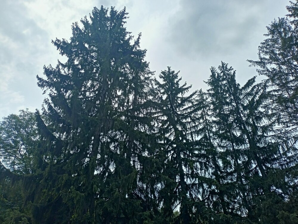 IMG20250721112200.jpg