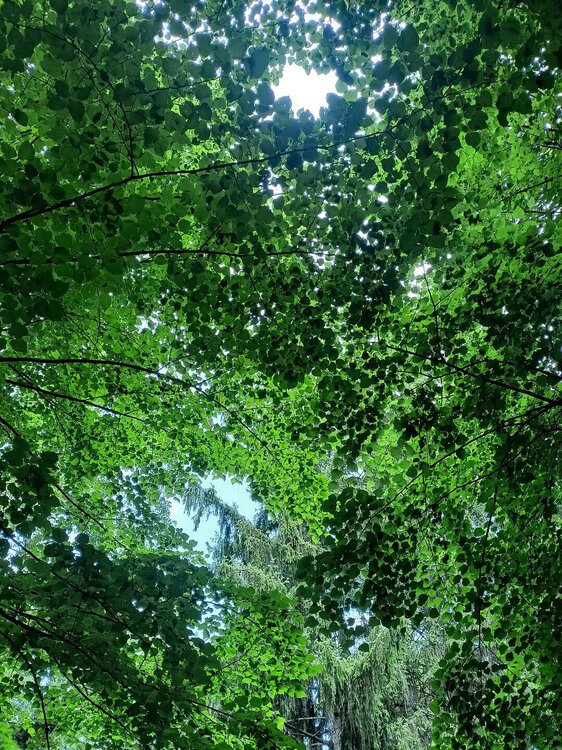IMG20250721112429.jpg