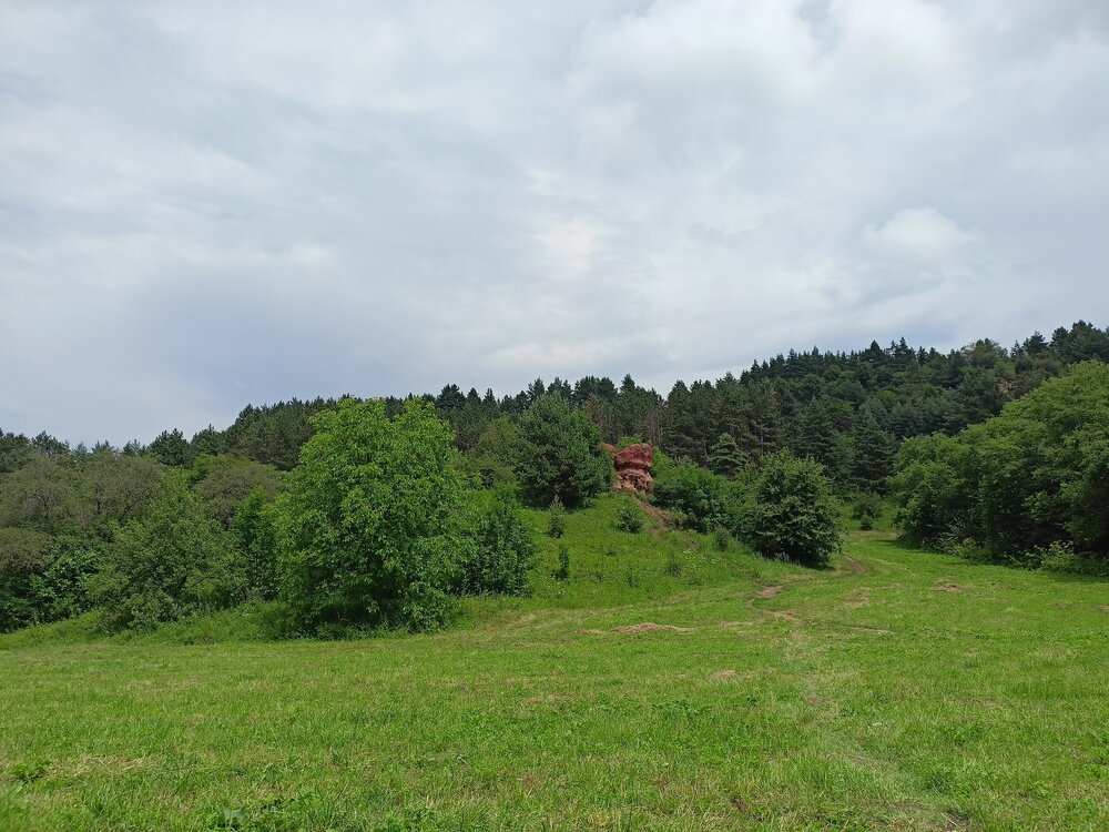 IMG20250721120606.jpg