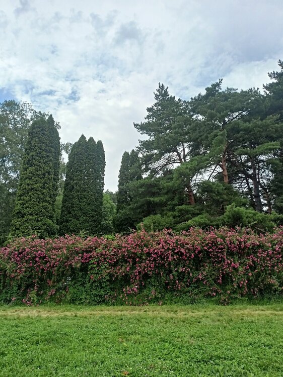 IMG20250721124256.jpg