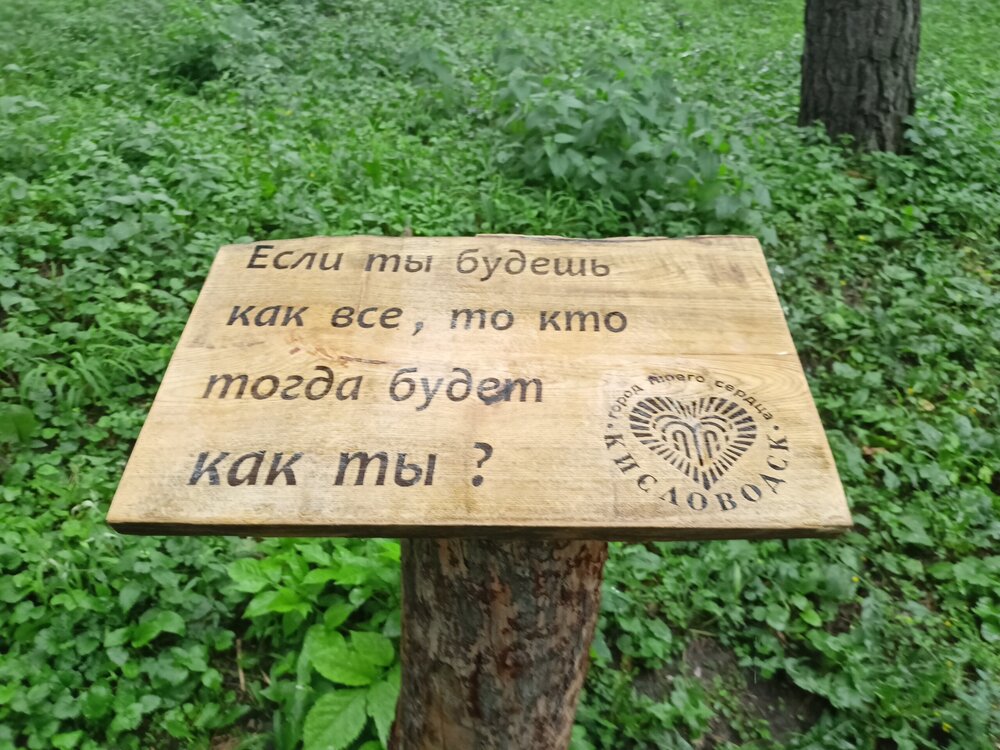 IMG20250721170622.jpg