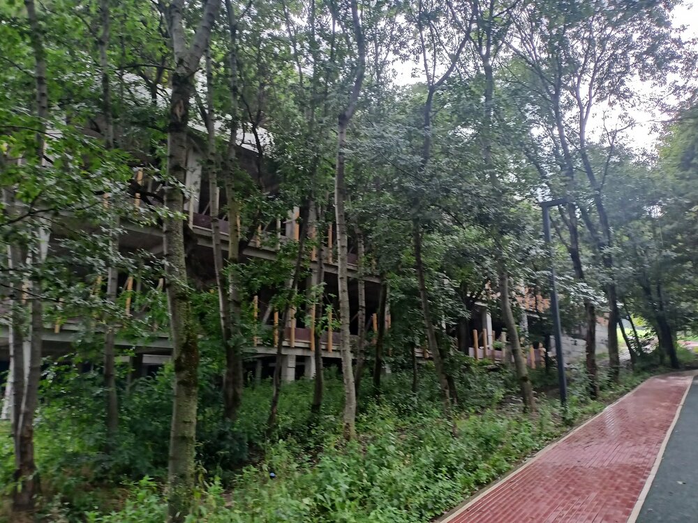 IMG20250721170733.jpg