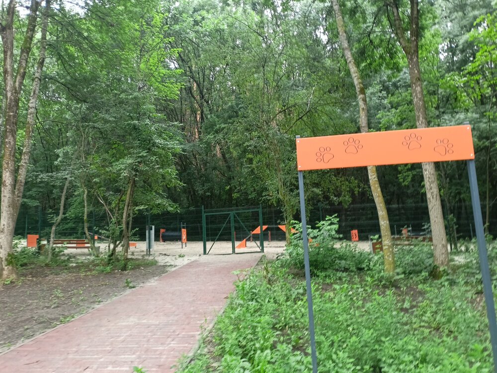 IMG20250721175302.jpg