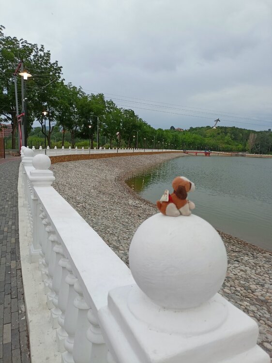 IMG20250721190609.jpg