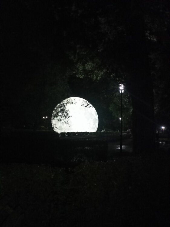 IMG20250721213611.jpg