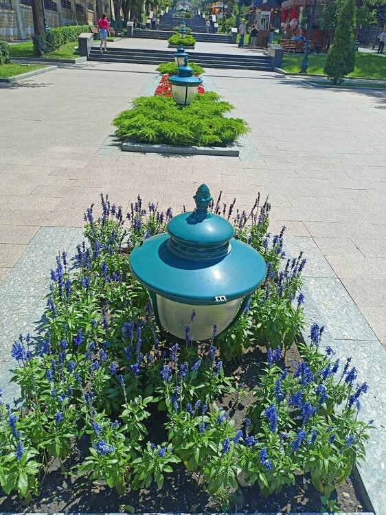 IMG20250722110735.jpg