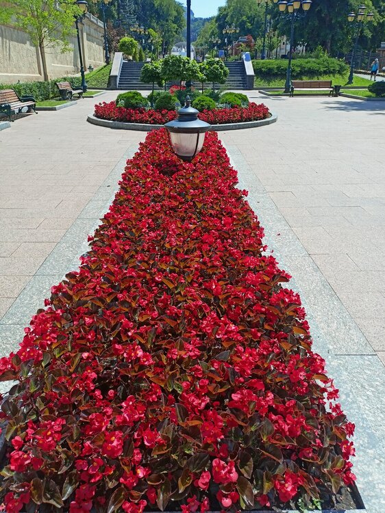 IMG20250722111037.jpg