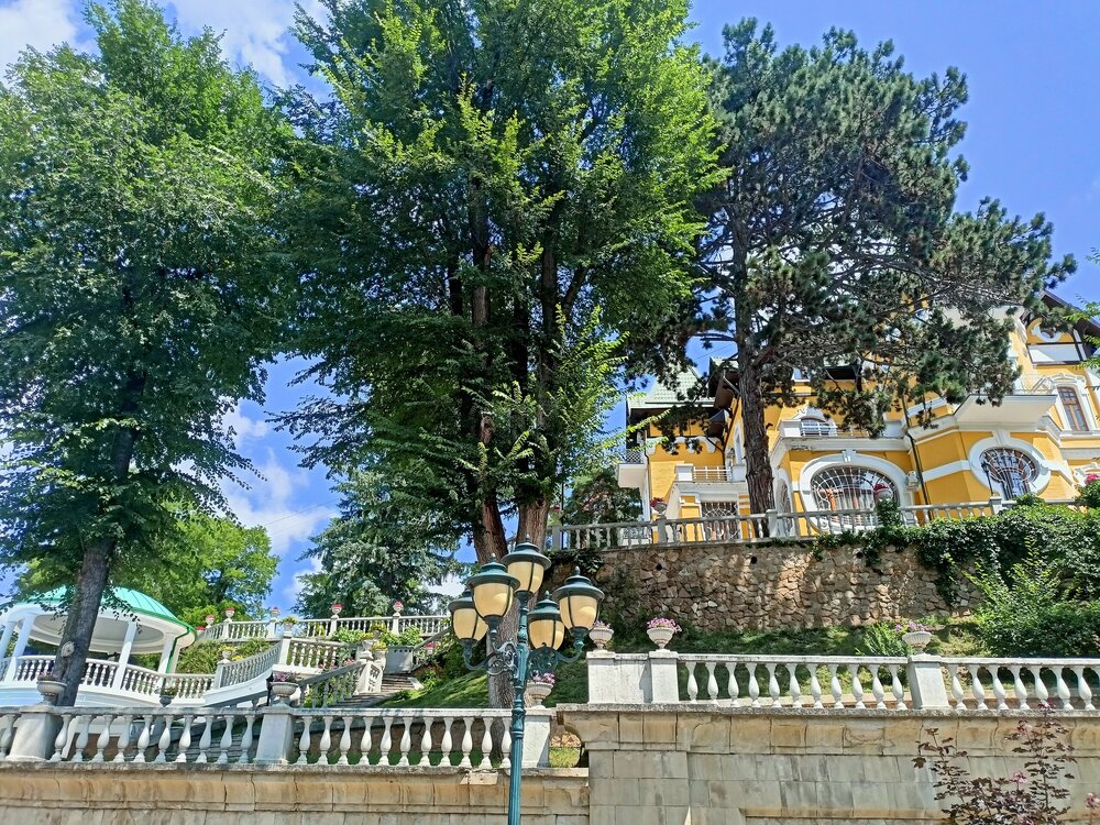 IMG20250722111332.jpg
