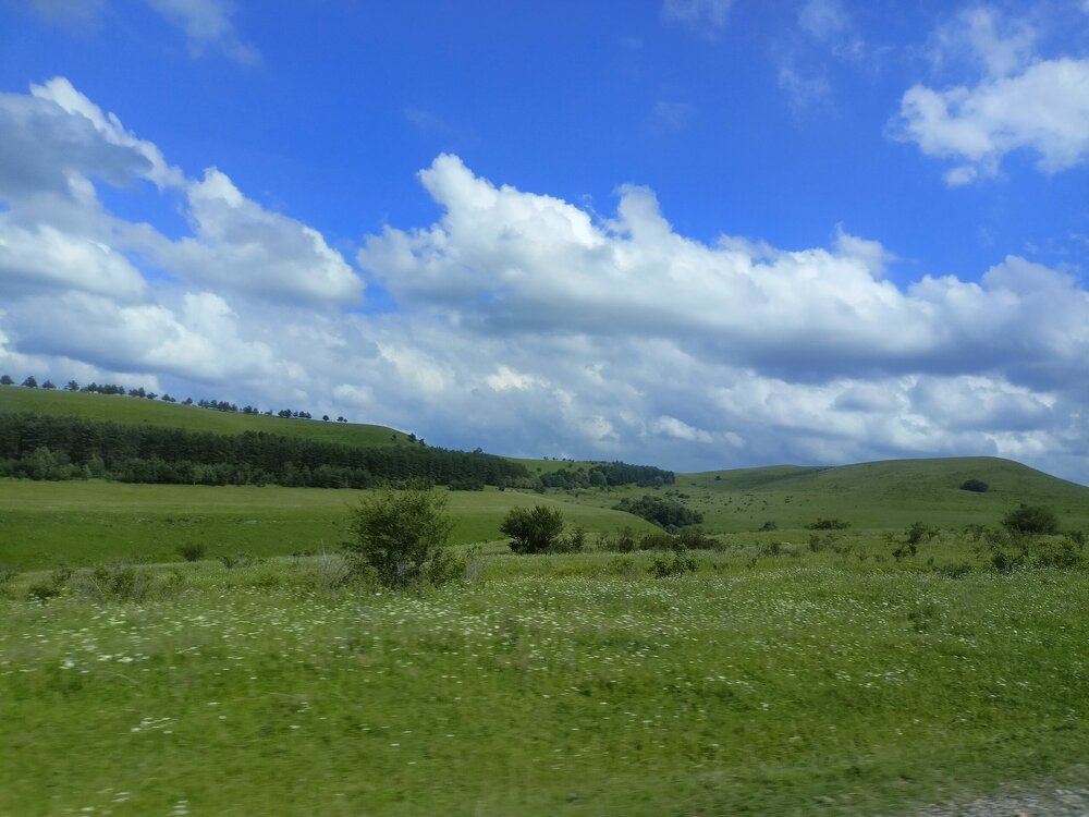 IMG20250722143154.jpg