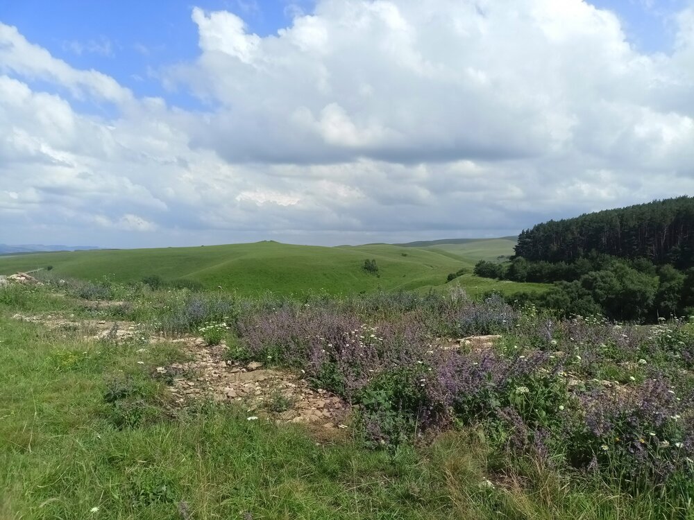 IMG20250722144007.jpg