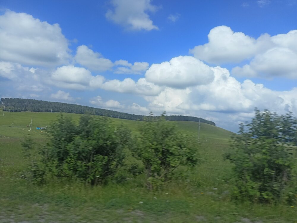 IMG20250722144905.jpg