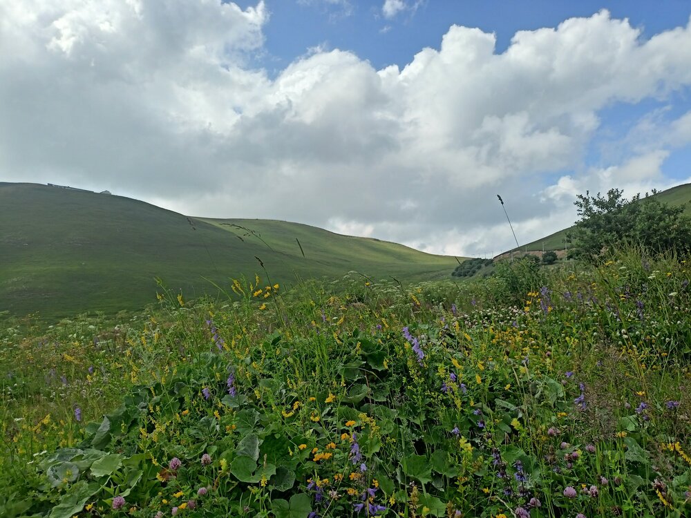 IMG20250722150449.jpg