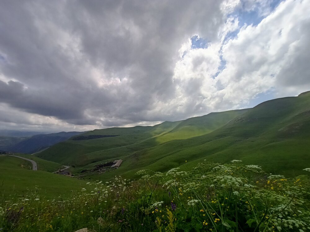 IMG20250722150629.jpg