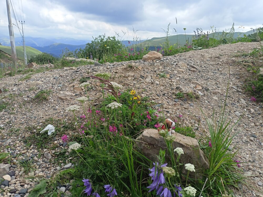 IMG20250722150950.jpg