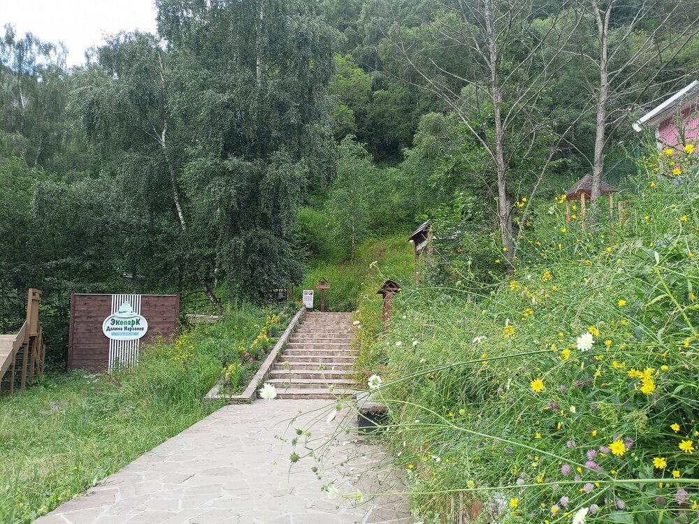 IMG20250722164222.jpg