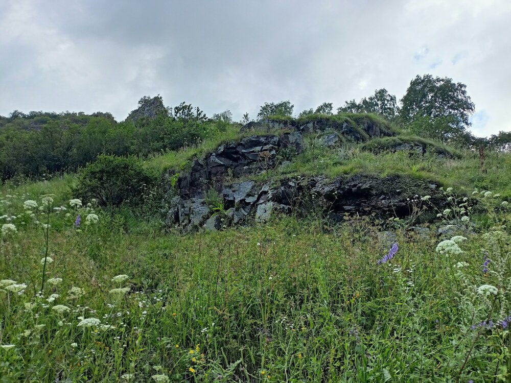 IMG20250722165121.jpg