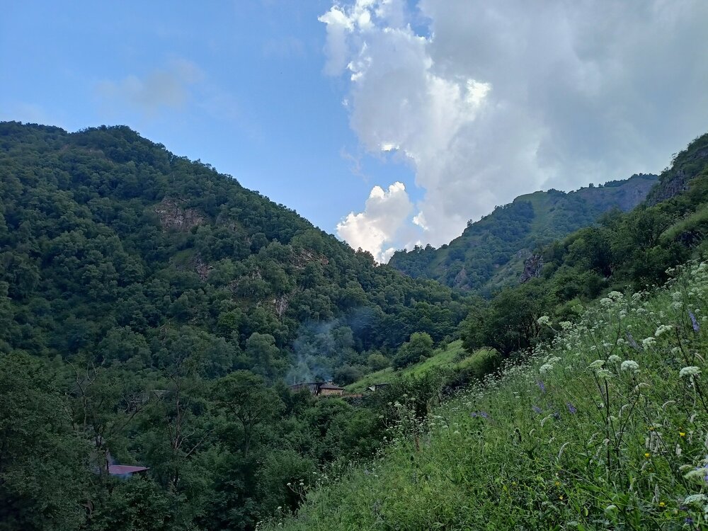 IMG20250722165125.jpg
