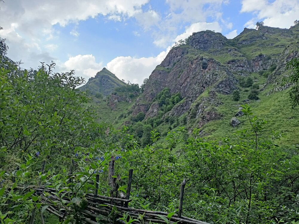 IMG20250722165522.jpg