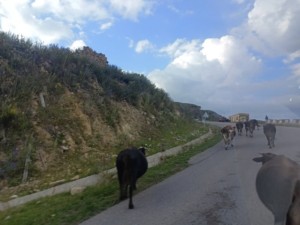 IMG20250722174920.jpg