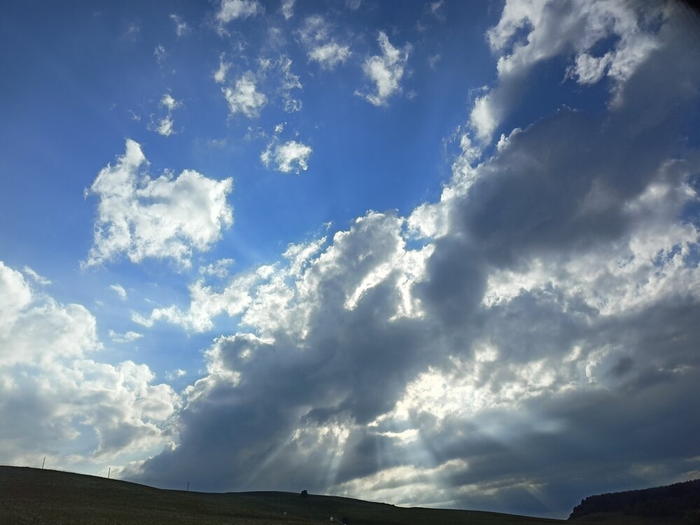 IMG20250722175136.jpg