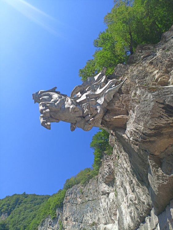 IMG20250723093657.jpg