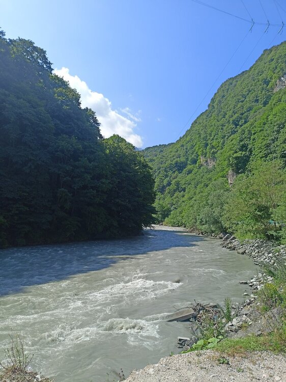 IMG20250723093809.jpg