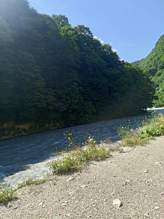 IMG20250723093834.jpg