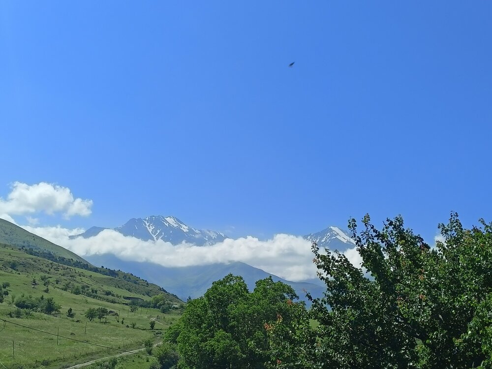 IMG20250723104208.jpg
